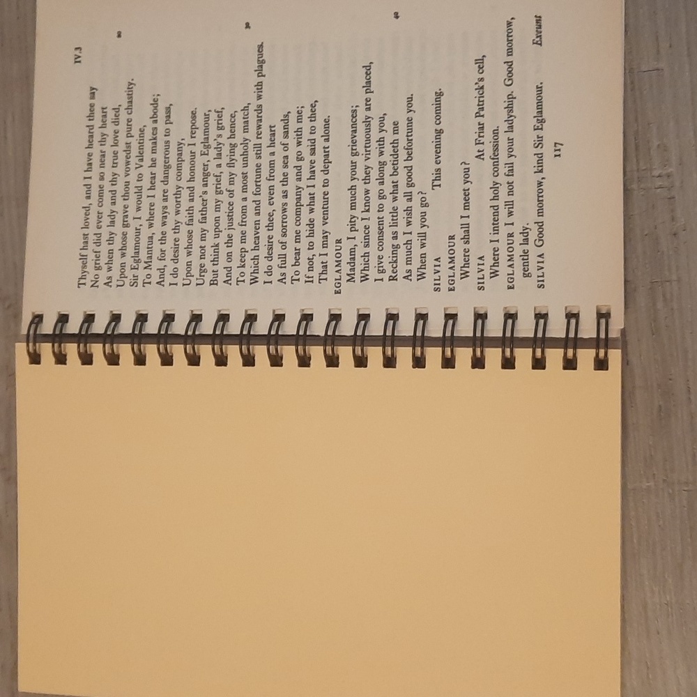 Secret Journal "The two gentlemen of Verona" - Picture 3 of 5